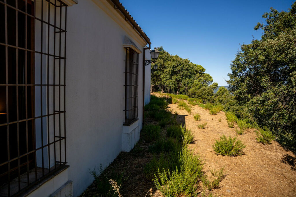 Detached Villa Gaucín Málaga - image 61