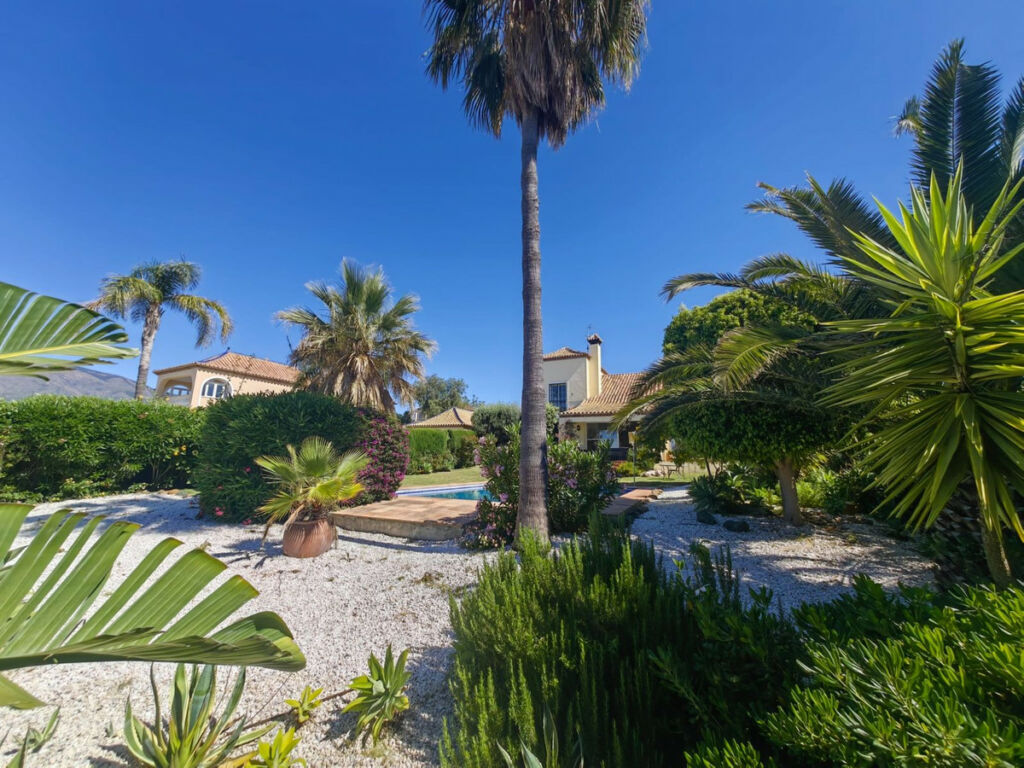 Detached Villa Estepona Málaga - image 65