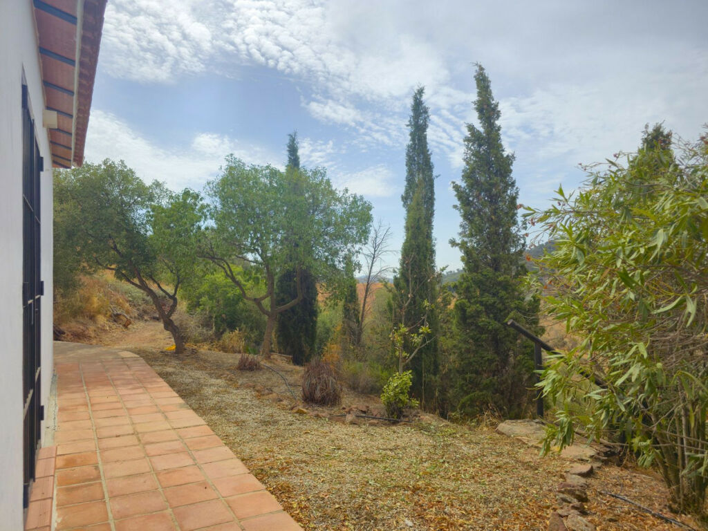 Detached Villa Almogía Málaga - image 66