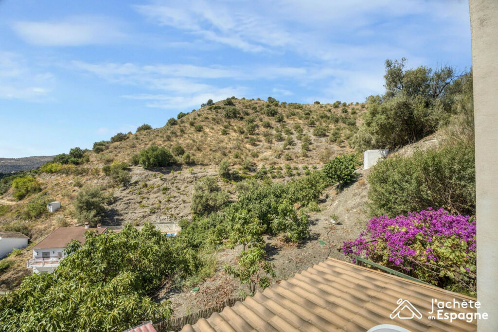 Detached Villa Canillas de Aceituno Málaga - image 66