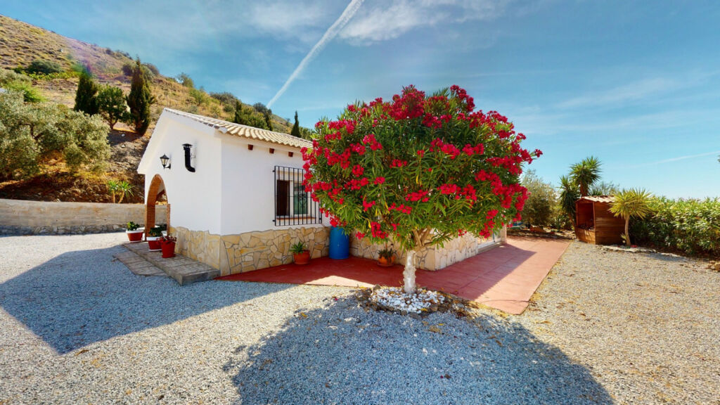 Detached Villa El Borge Málaga - image 7