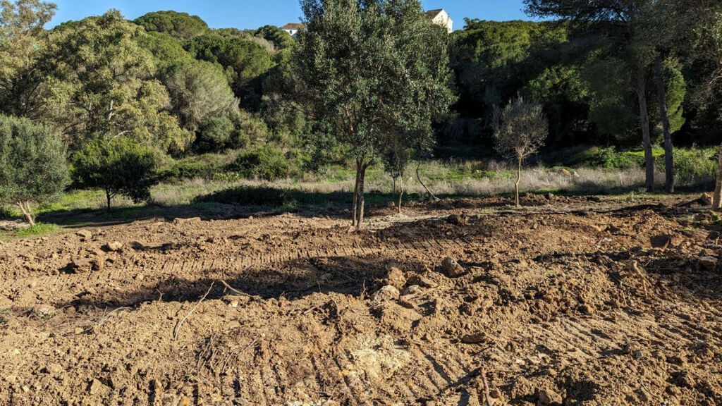 Residential Plot Sotogrande Cádiz - image 7