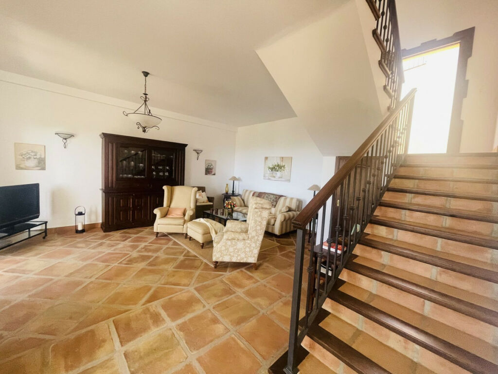 Detached Villa Istán Málaga - image 7