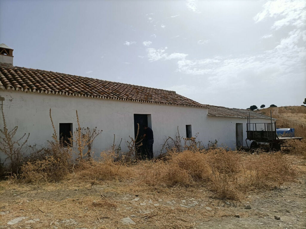 Farm Gaucín Málaga - image 6