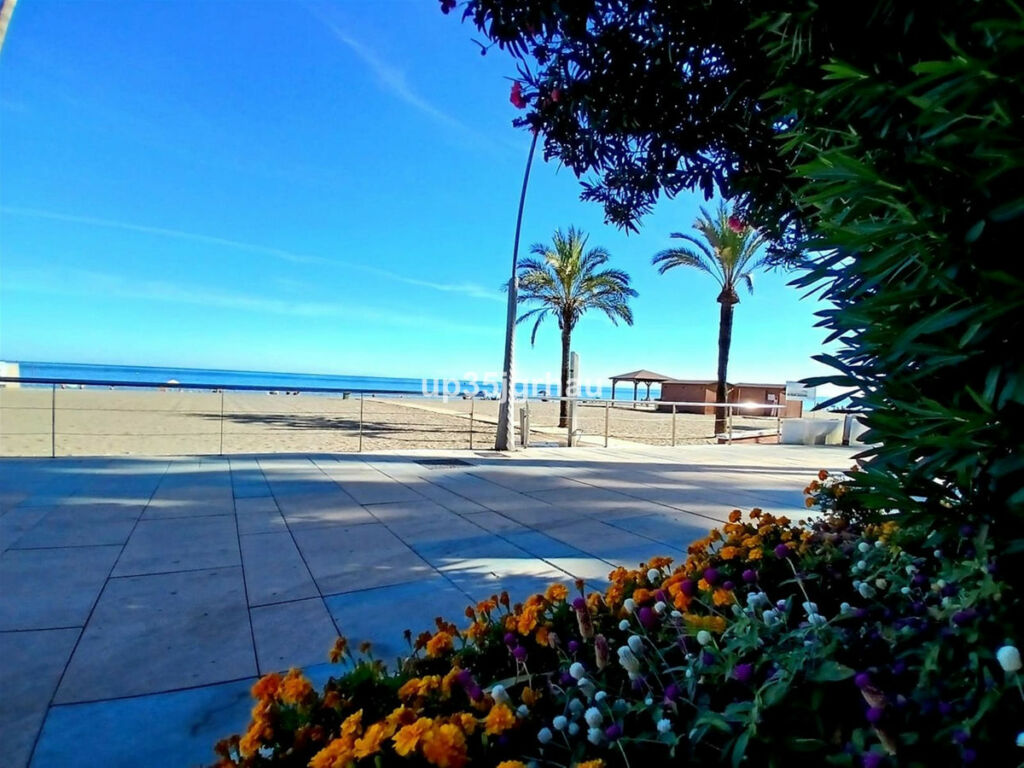 Detached Villa Estepona Málaga - image 7