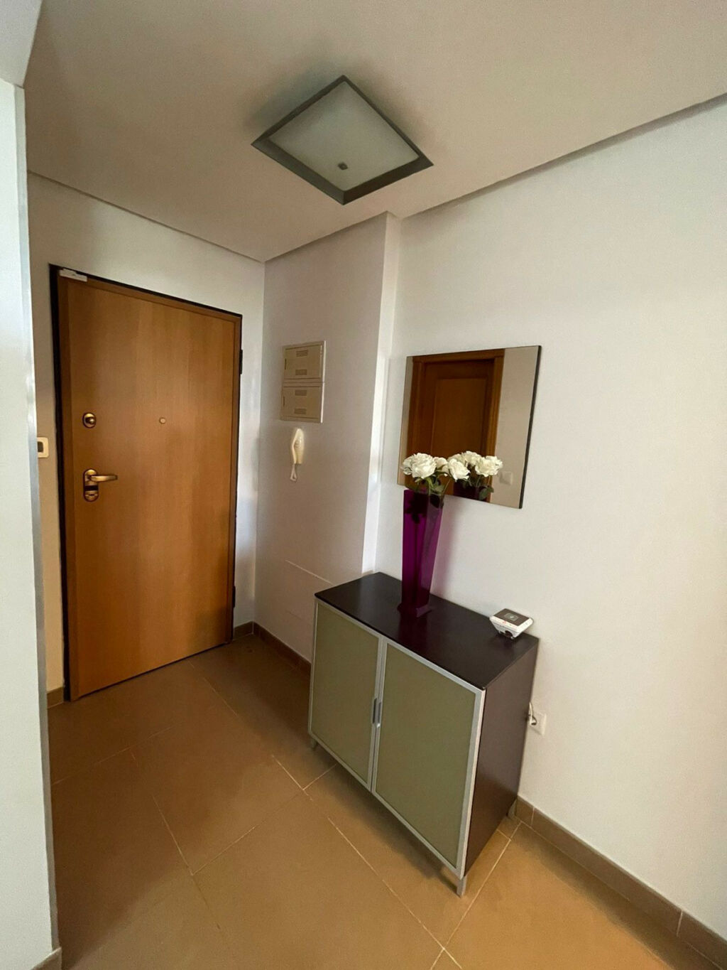 Penthouse Mil Palmeras Alicante - image 7