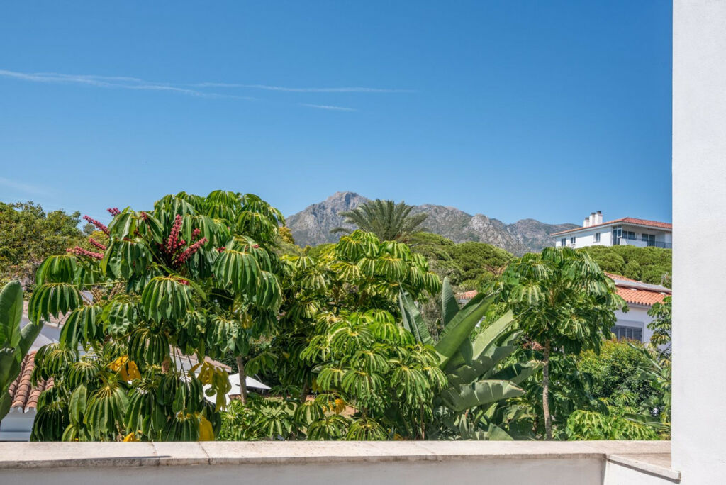 Detached Villa Marbella Málaga - image 7