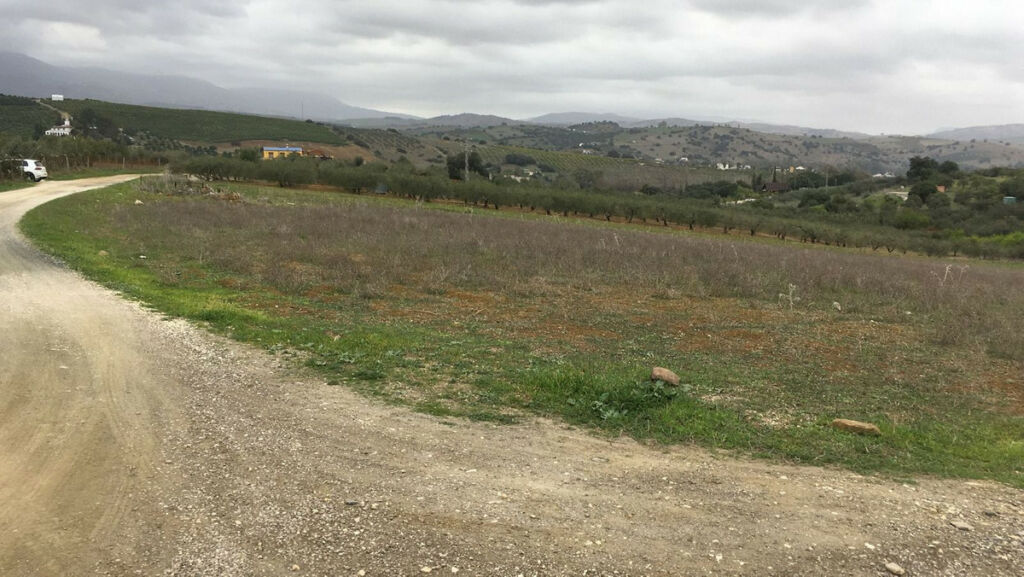 Land Coín Málaga - image 7