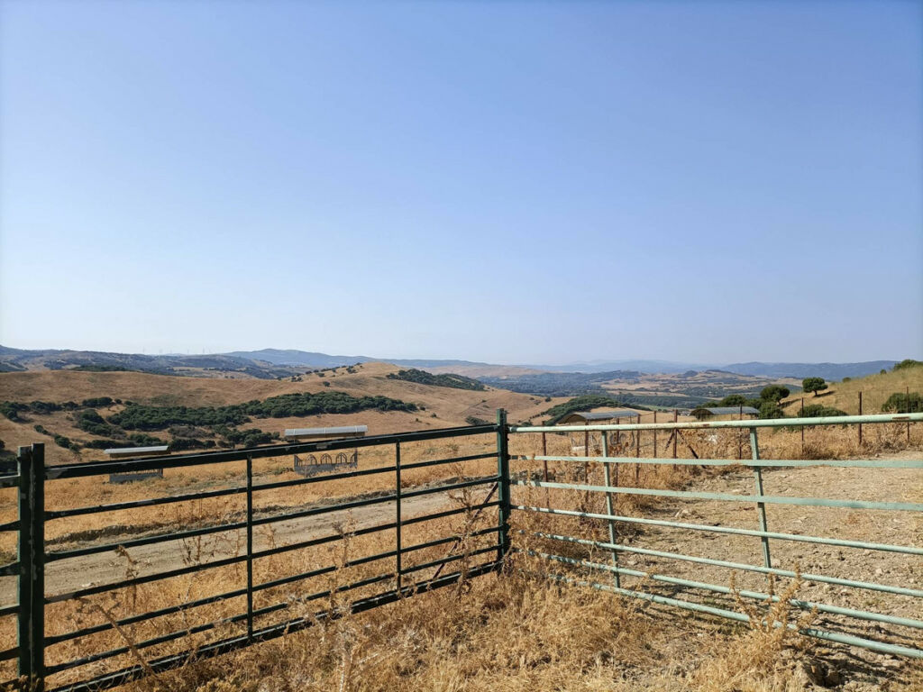 Farm Gaucín Málaga - image 7