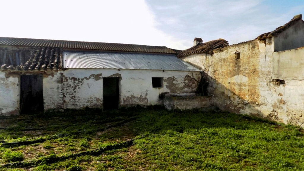 Farm Coín Málaga - image 7