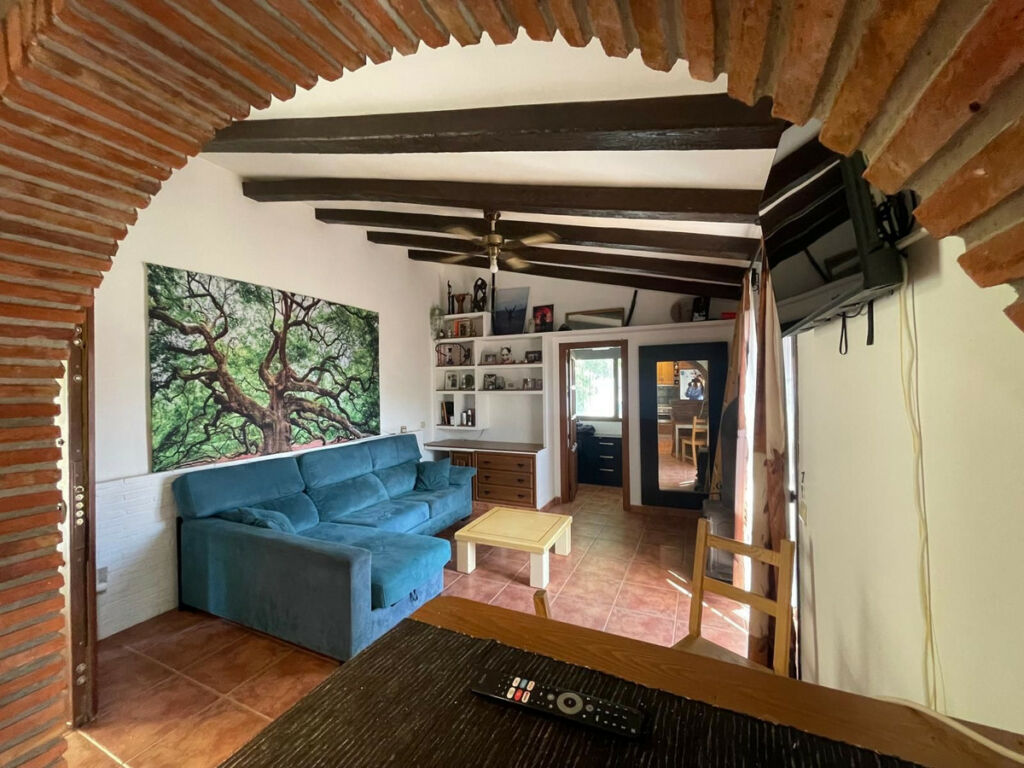 Detached Villa Torremuelle Málaga - image 7