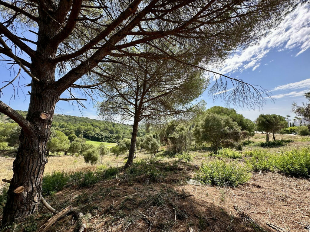 Land Sotogrande Cádiz - image 7