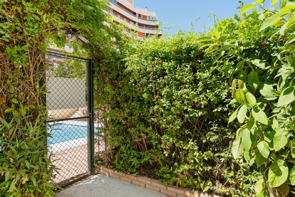 Ground Floor Apartment Marbella Málaga - image 7