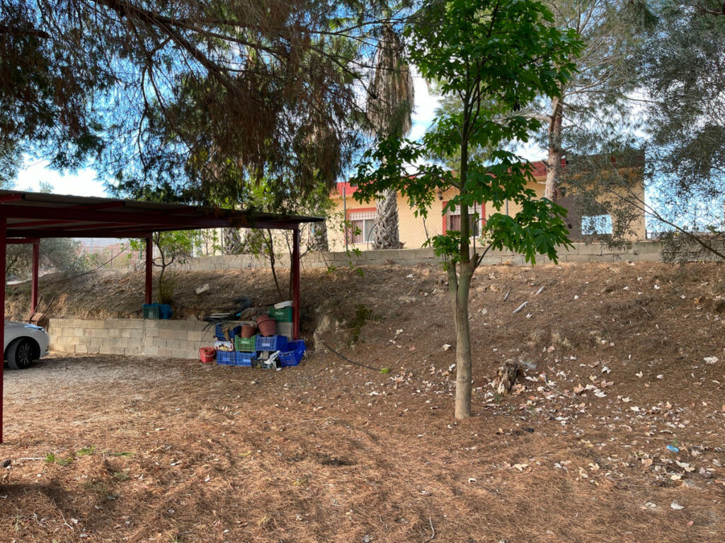 Finca - Cortijo Jacarilla Alicante - image 7