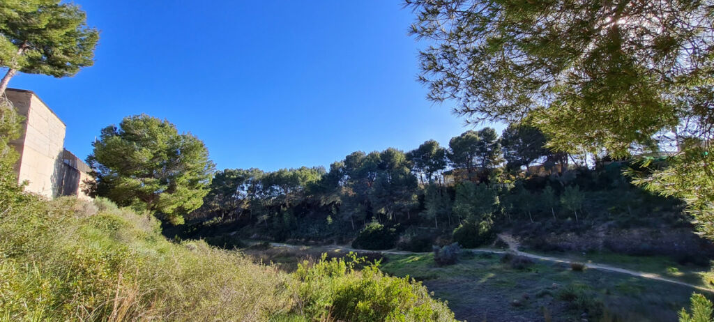 Detached Villa Pinar de Campoverde Alicante - image 7