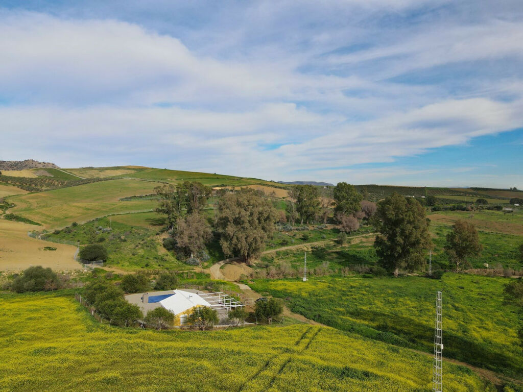 Finca - Cortijo Coín Málaga - image 7