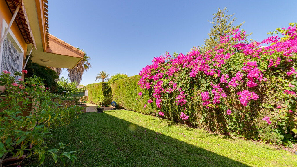Detached Villa Campoamor Alicante - image 7