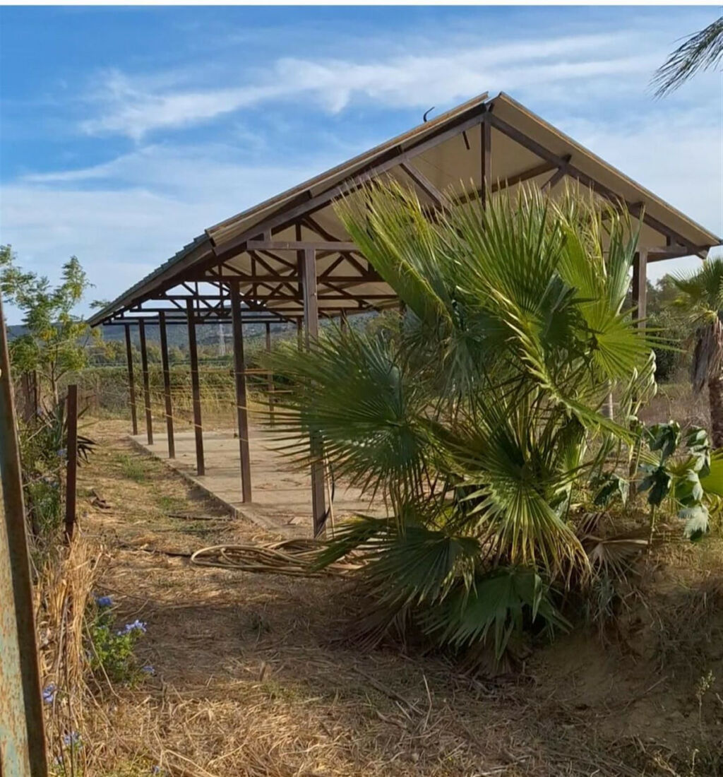Finca - Cortijo San Martín de Tesorillo Cádiz - image 7