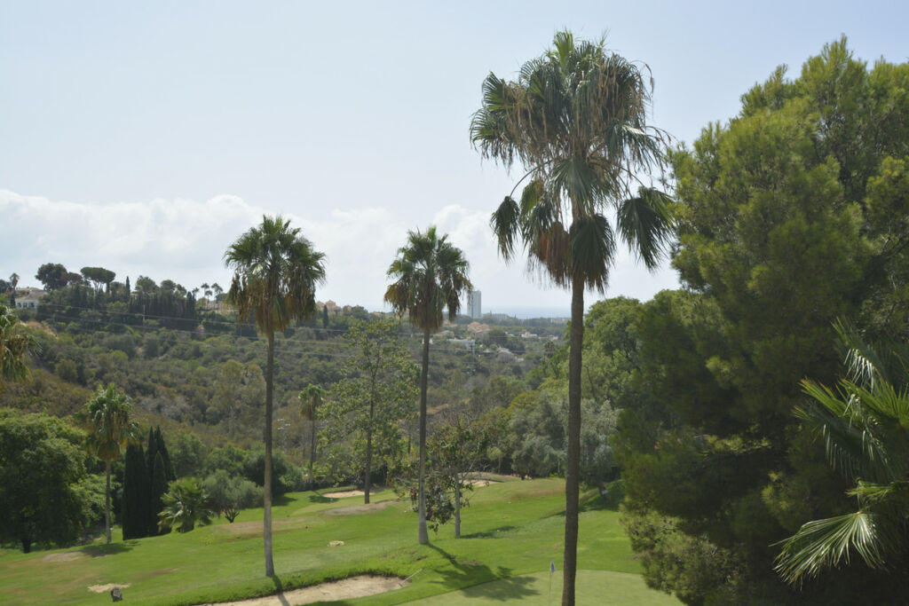 Middle Floor Apartment Elviria Málaga - image 7