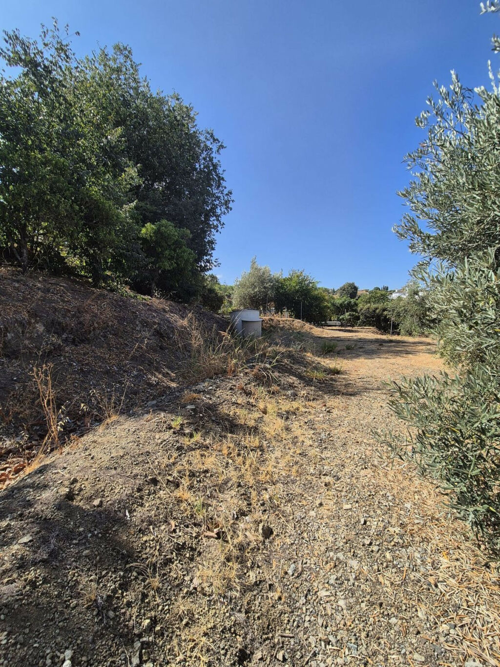 Detached Villa Coín Málaga - image 69