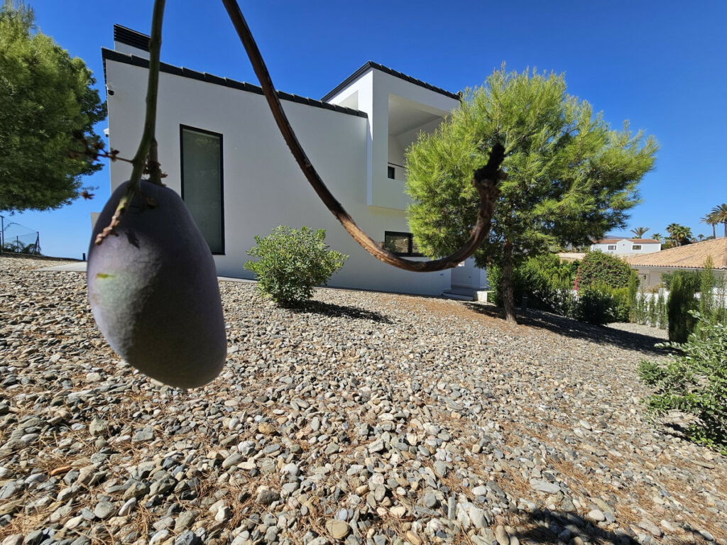 Detached Villa Mijas Málaga - image 76