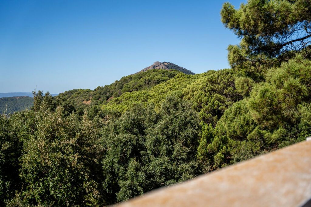 Detached Villa Gaucín Málaga - image 77