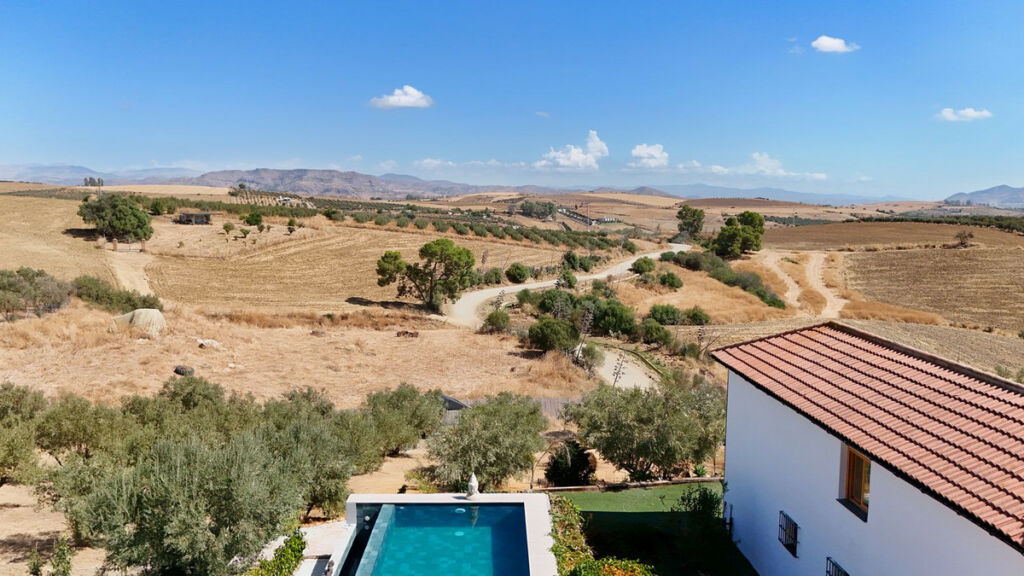 Detached Villa Coín Málaga - image 8