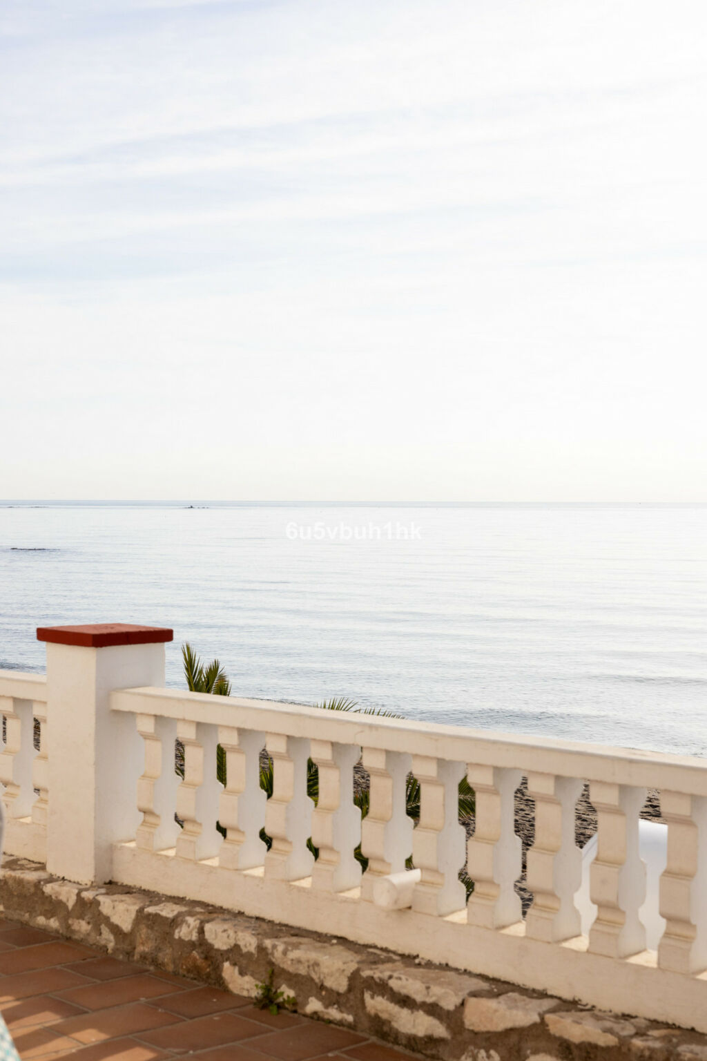 Detached Villa El Chaparral Málaga - image 8