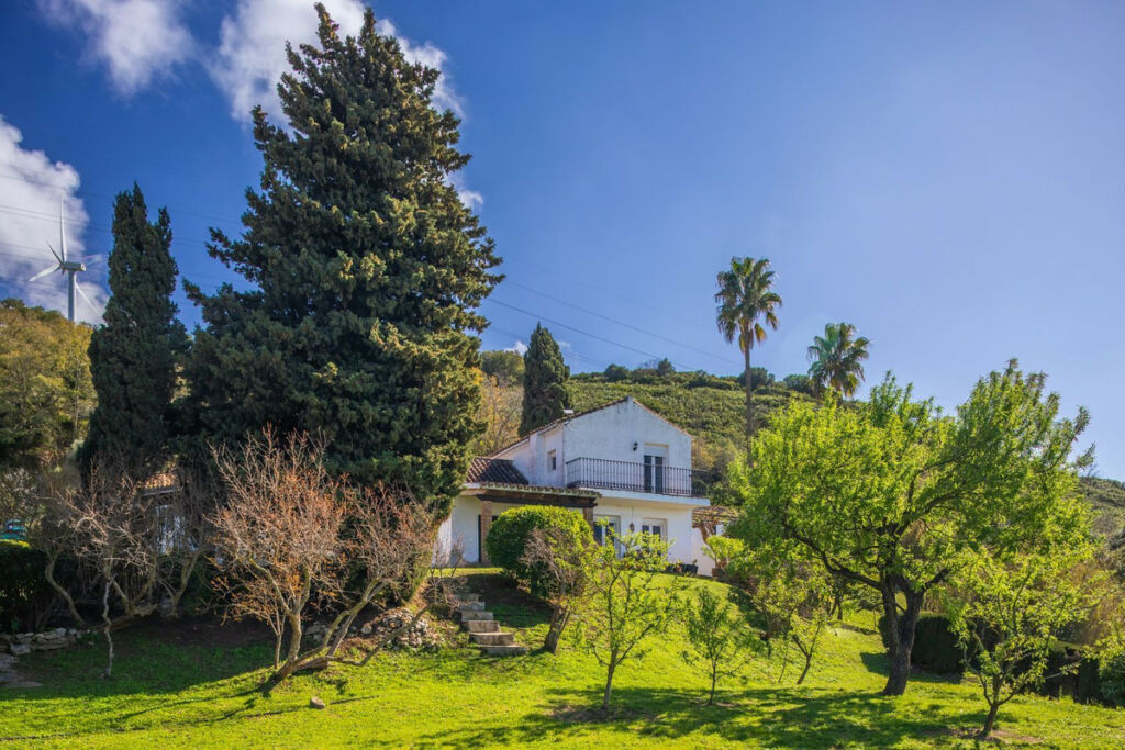 Hotel Casares Málaga - image 8
