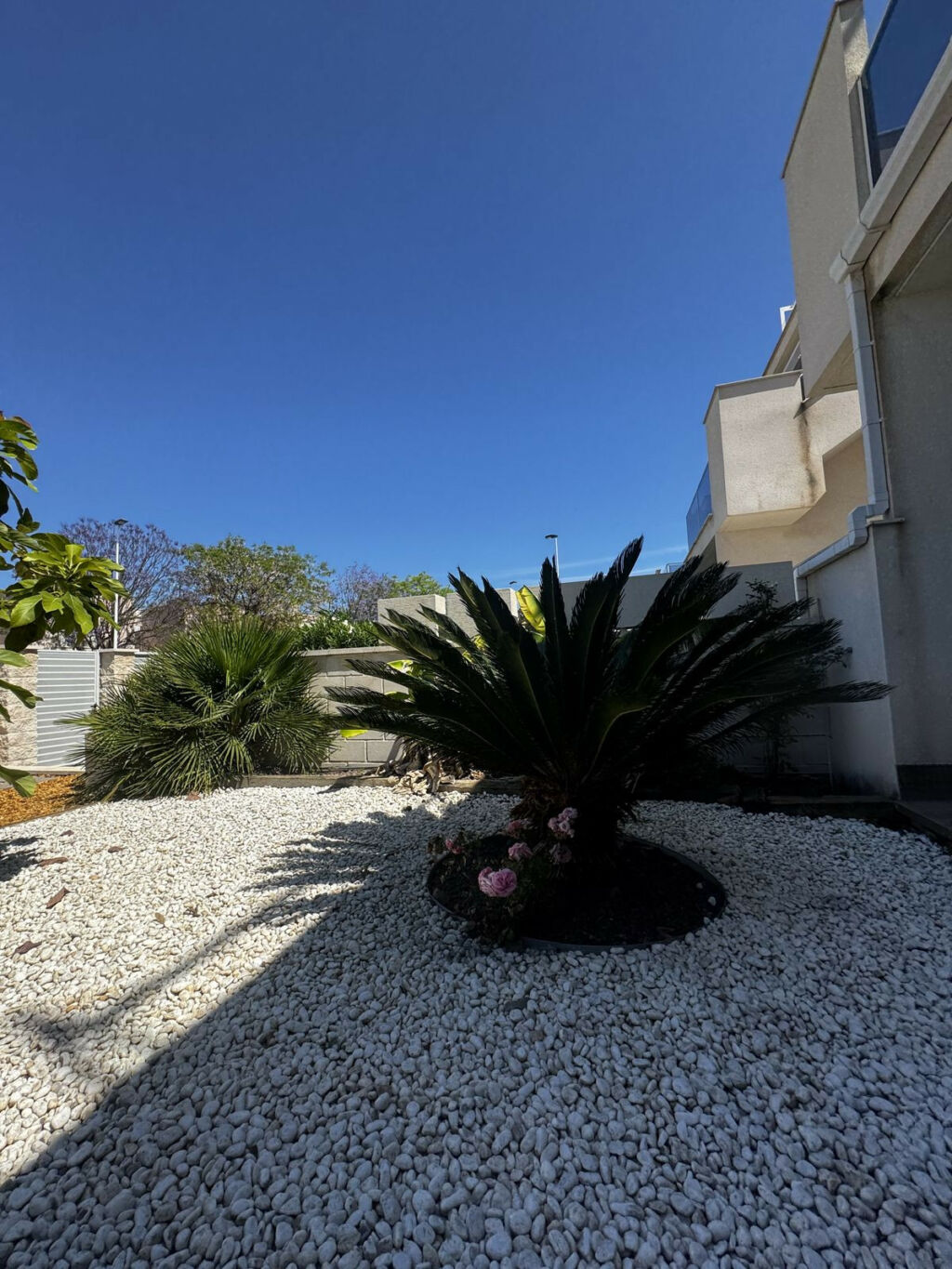 Ground Floor Apartment Torrevieja Alicante - image 8