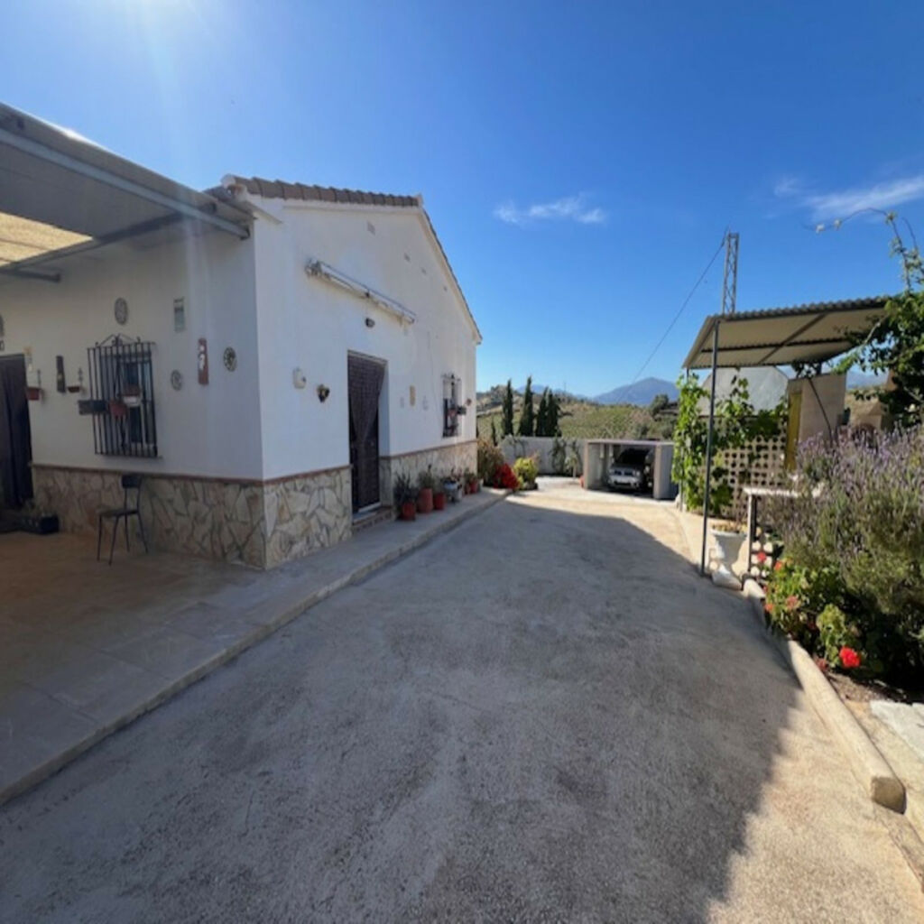 Finca - Cortijo Viñuela Málaga - image 8
