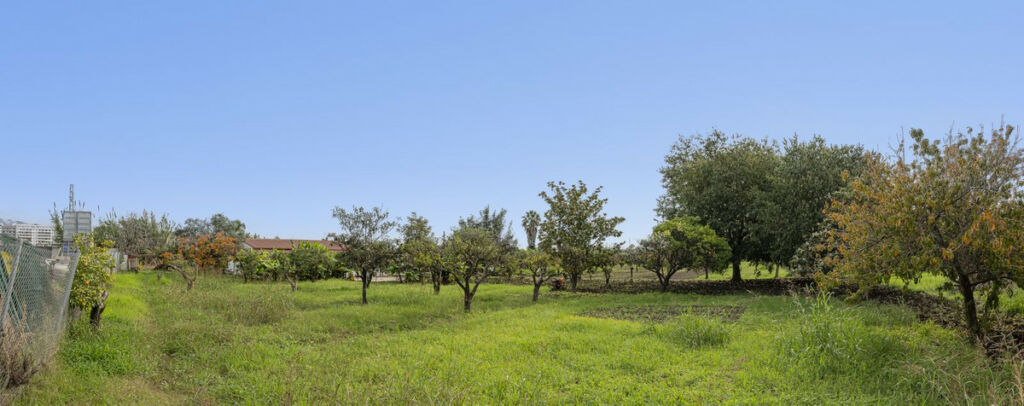 Land San Pedro de Alcántara Málaga - image 8