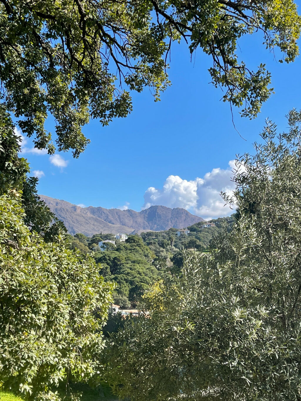 Land Casares Málaga - image 8