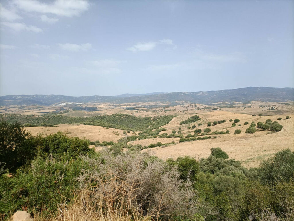 Farm Gaucín Málaga - image 9
