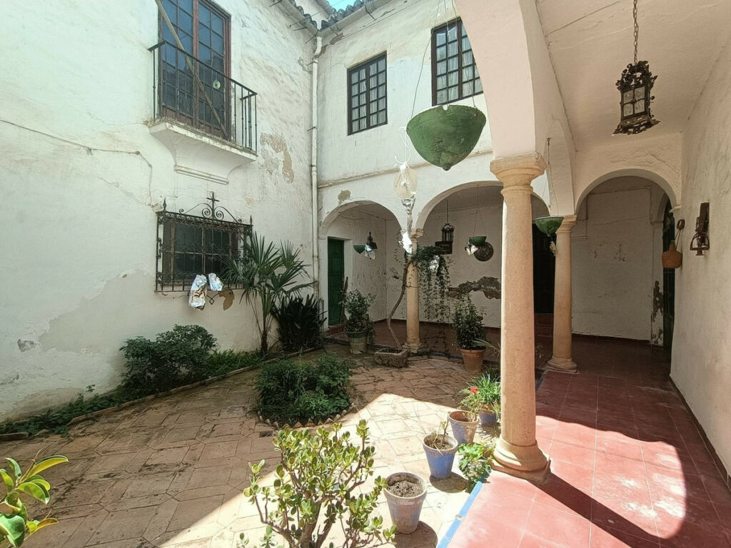 Detached Villa Ronda Málaga - image 9