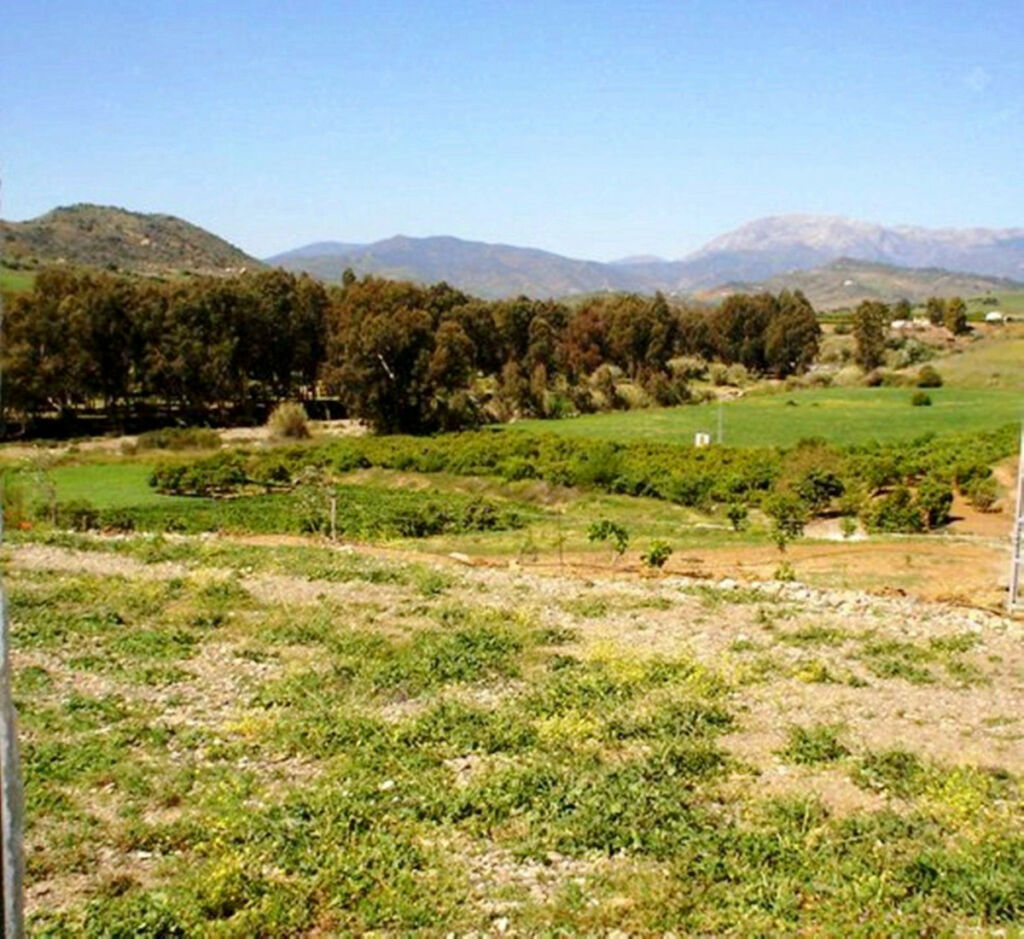 Farm Coín Málaga - image 9