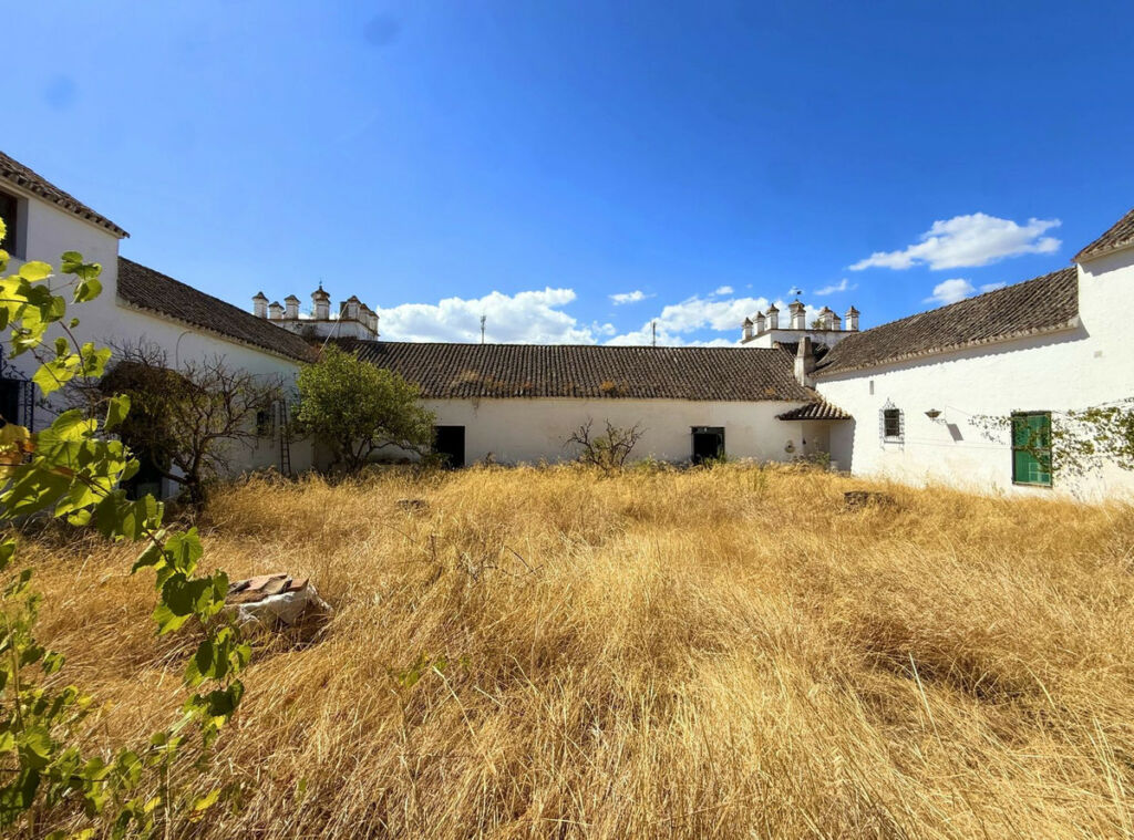 Finca - Cortijo Arcos de la Frontera Cádiz - image 3