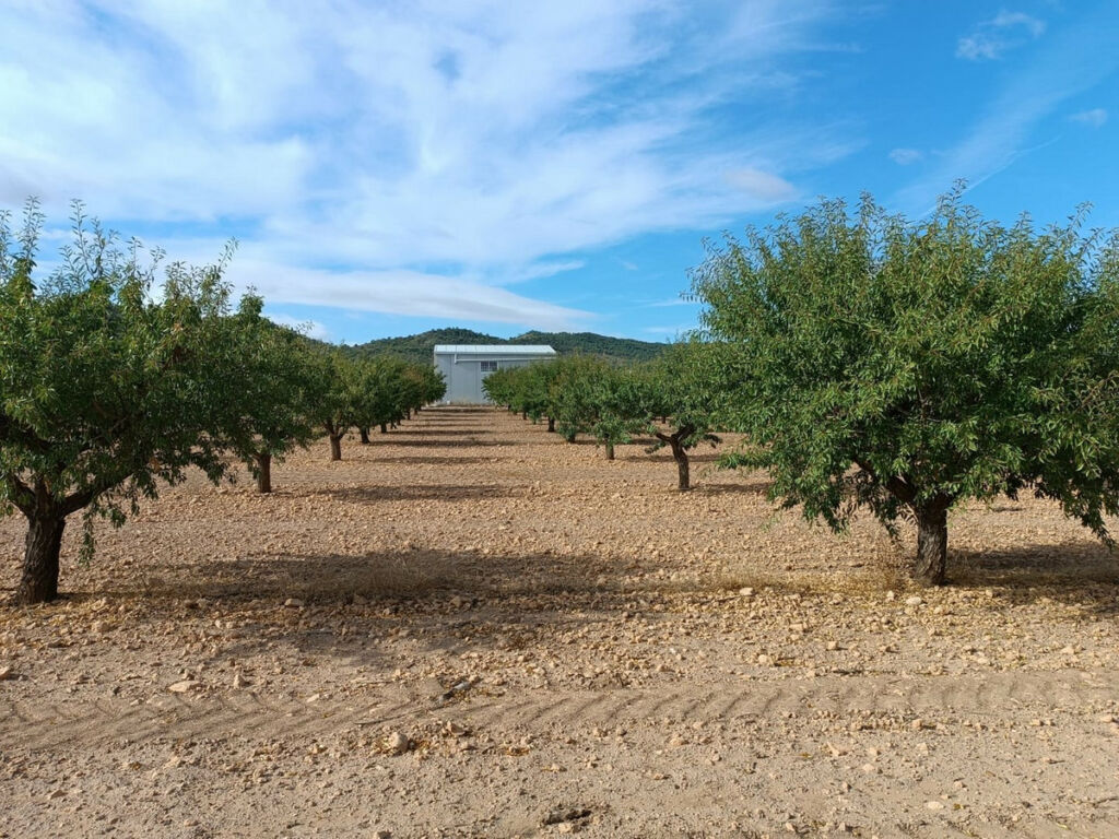 Land Yecla Murcia