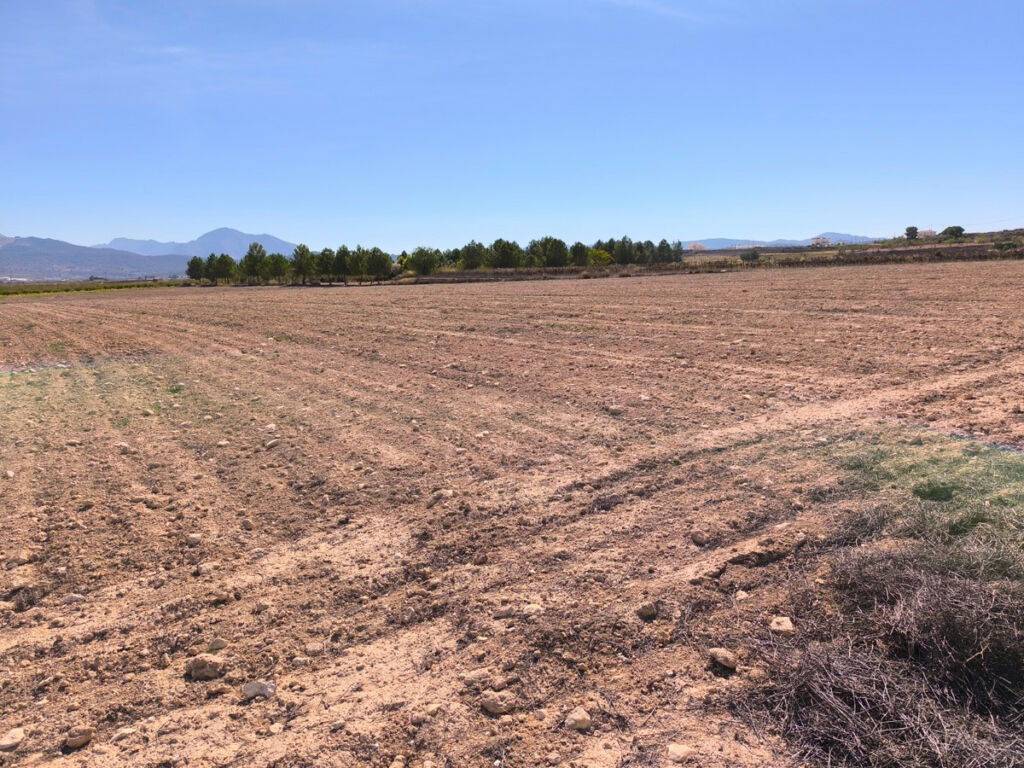 Land Pinoso Alicante