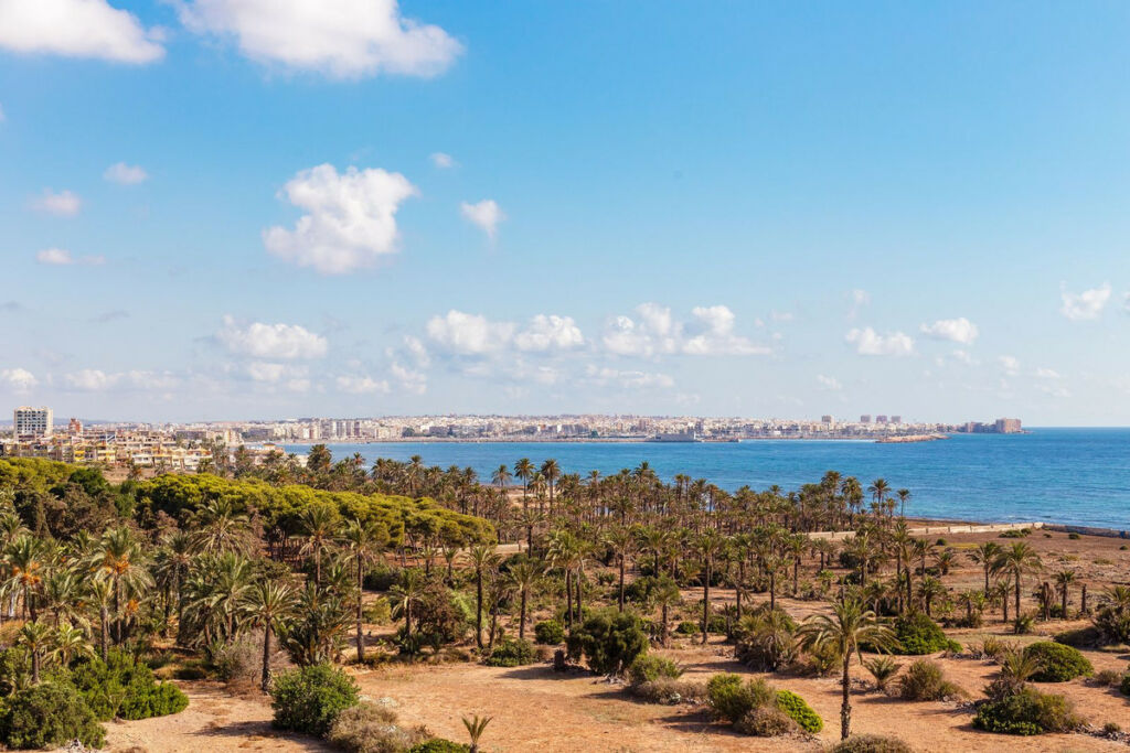 Middle Floor Apartment Punta Prima Alicante