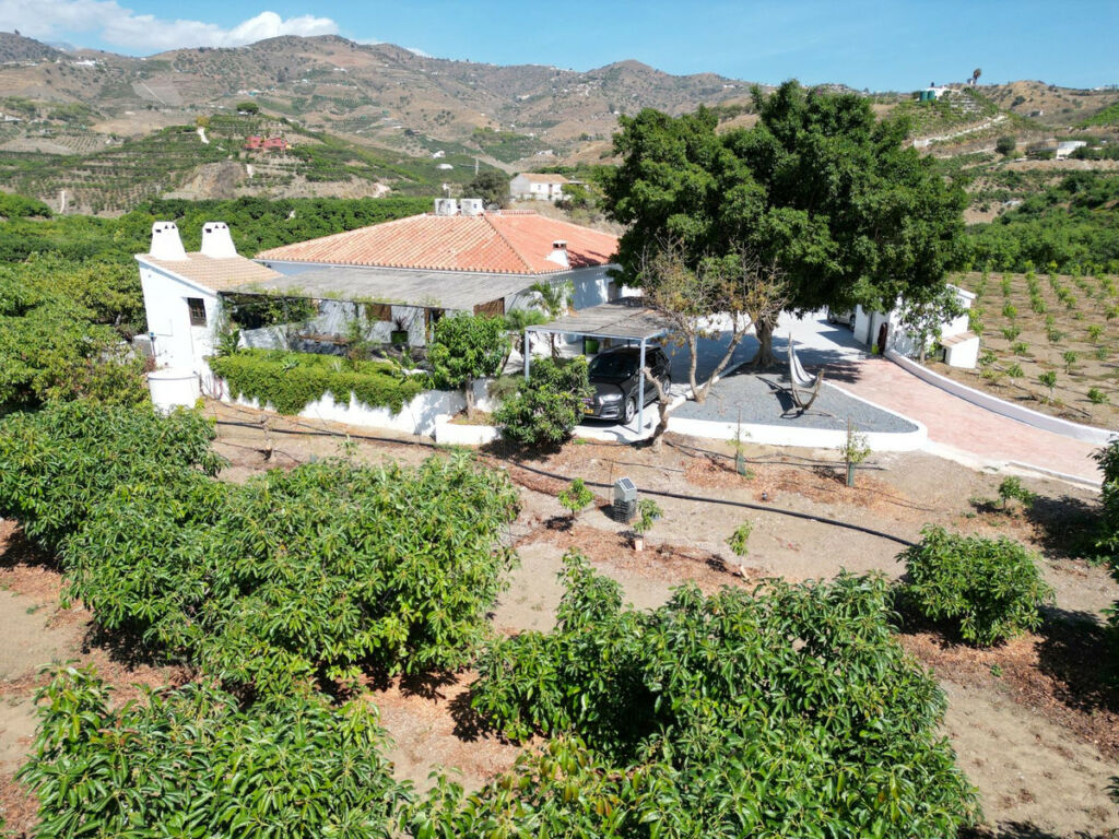 Finca - Cortijo Vélez-Málaga Málaga