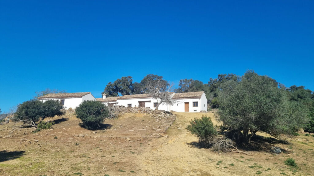Finca - Cortijo Castellar de la Frontera Cádiz