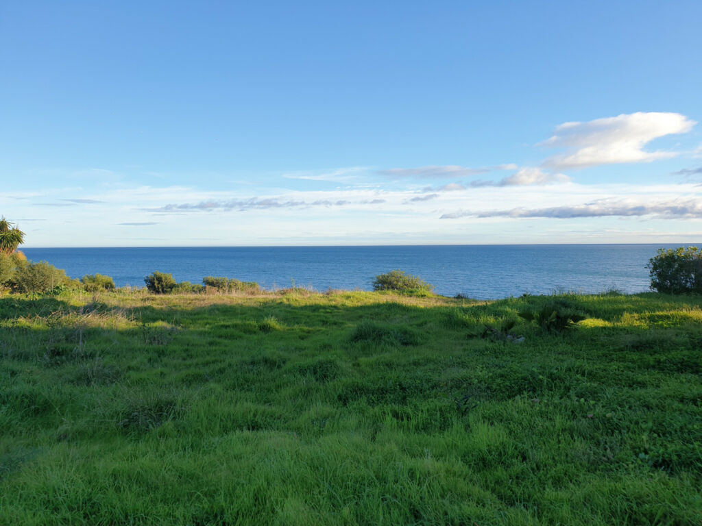 Detached Villa Estepona Málaga
