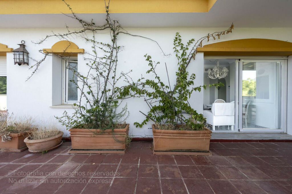 Penthouse Puerto Banús Málaga - image 10