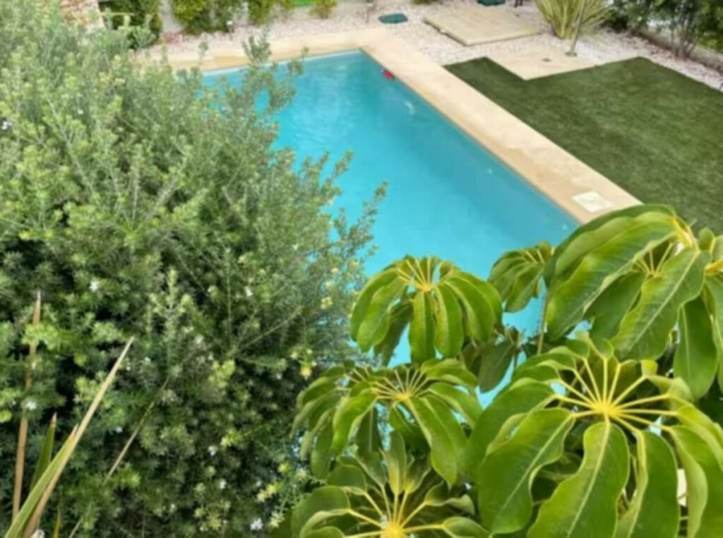 Detached Villa Algorfa Alicante - image 10
