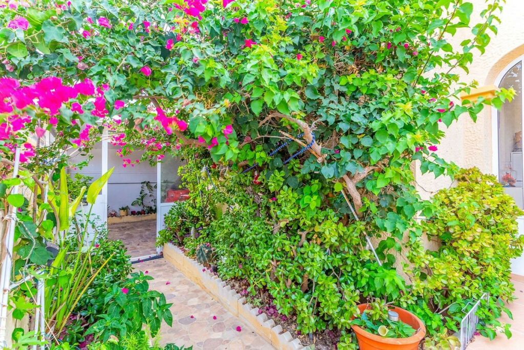 Townhouse Orihuela Costa Alicante - image 10