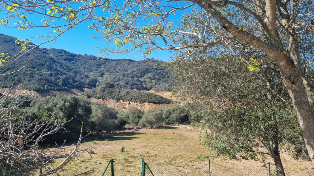 Finca - Cortijo Castellar de la Frontera Cádiz - image 10