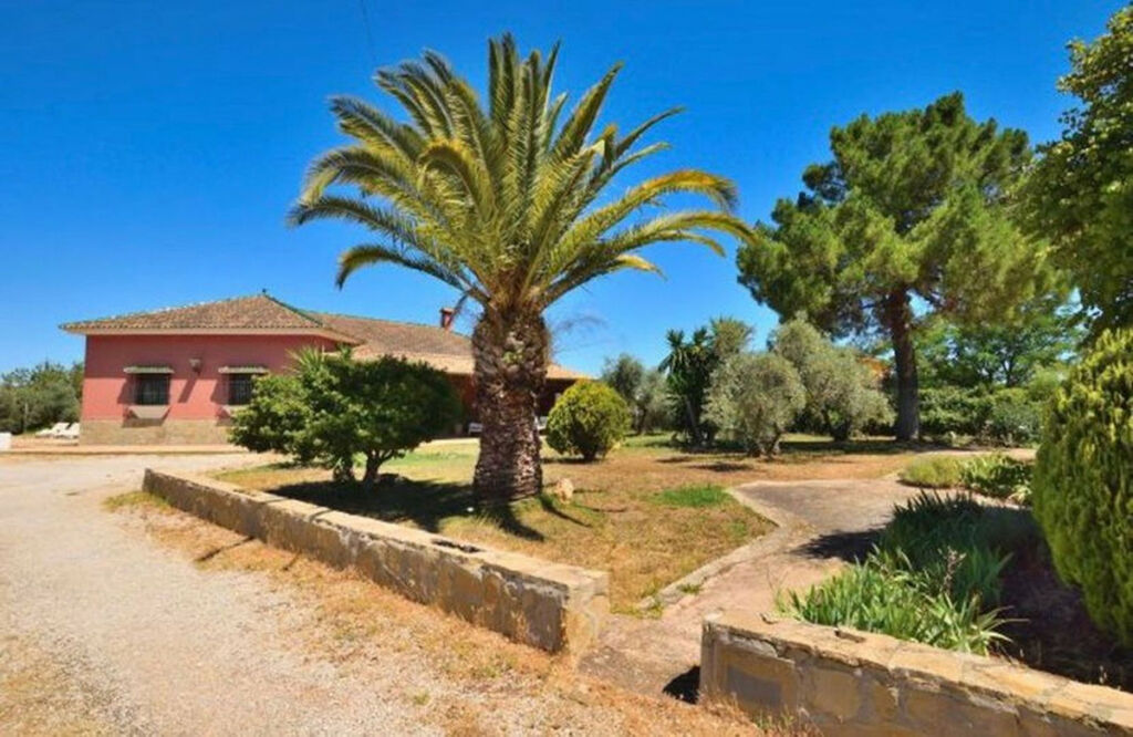 Finca - Cortijo Arriate Málaga - image 10