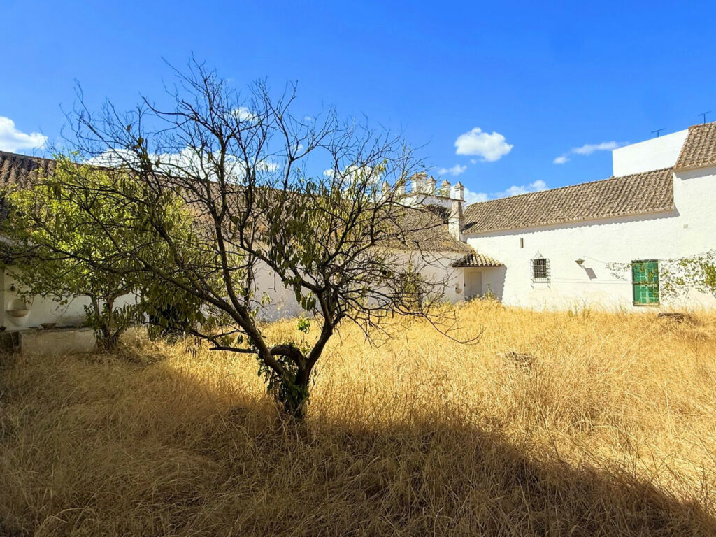 Finca - Cortijo Arcos de la Frontera Cádiz - image 11