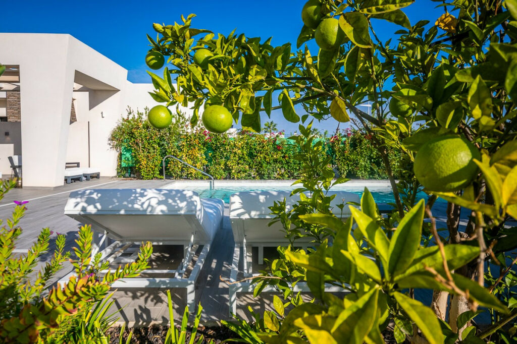 Detached Villa Algorfa Alicante - image 11